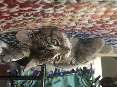 LaurenLembke profile photo