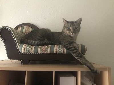 LaurenLembke profile photo