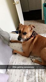 morganyandel1 profile photo