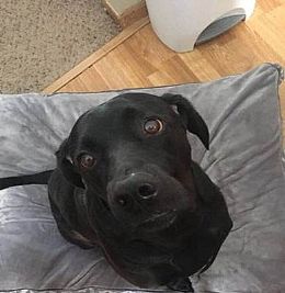 Rubberducky06 profile photo