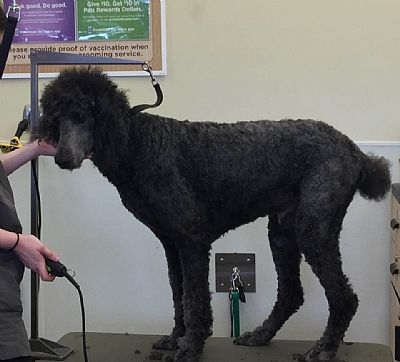 marionw profile photo