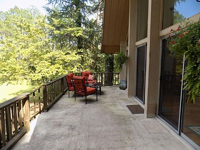 Mark collier profile photo