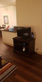 kushan1987 profile photo