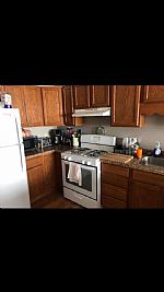 lolson16 profile photo