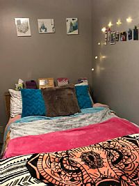 lolson16 profile photo