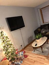 lolson16 profile photo