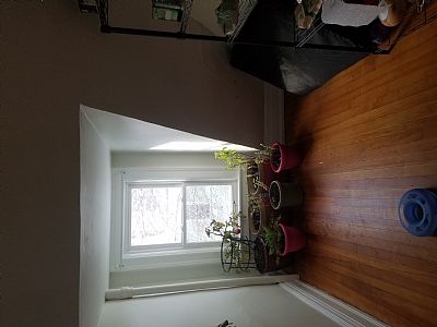 Syncreticwander profile photo