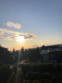 teegal profile photo