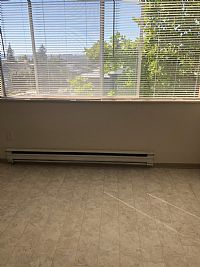 teegal profile photo