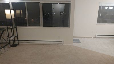 teegal profile photo