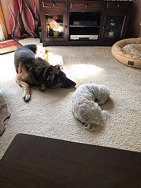 Tapmac profile photo