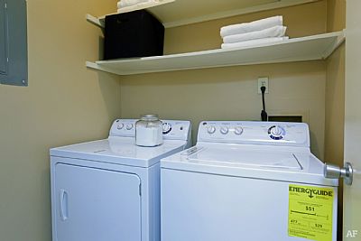 dreese20 profile photo