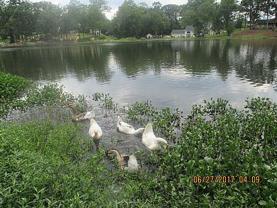 sharibari profile photo