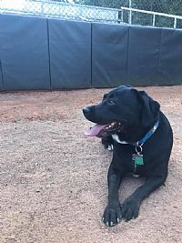 icthus_kenz16 profile photo