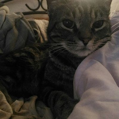 Smucks profile photo