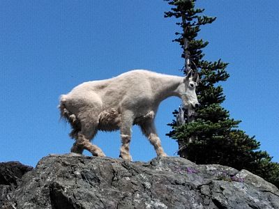 chazzzz profile photo