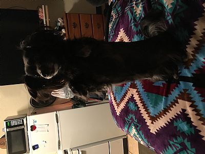 Whiteblossom18 profile photo