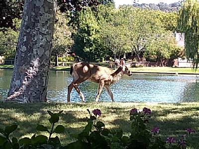 Sharingahouse profile photo