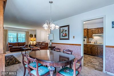 stevedthomps777 profile photo