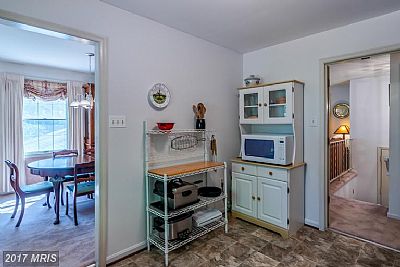 stevedthomps777 profile photo