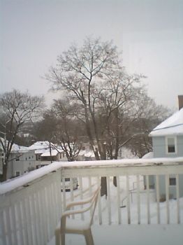 liluckylaur profile photo