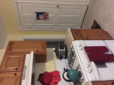 Anna FA profile photo