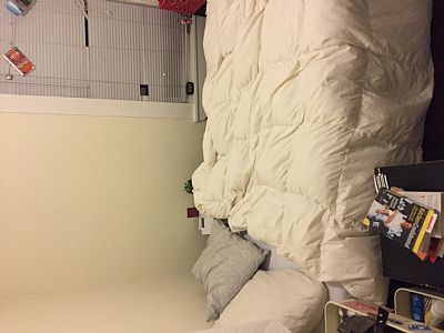 Anna FA profile photo