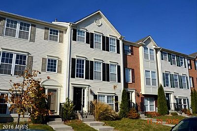 adzaringa profile photo