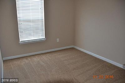 adzaringa profile photo