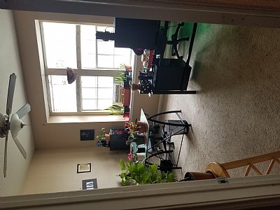 Funhaus profile photo