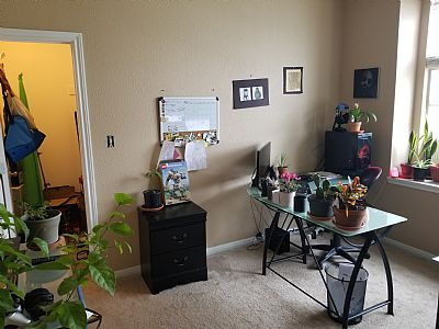 Funhaus profile photo