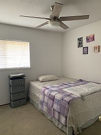 Loshik profile photo