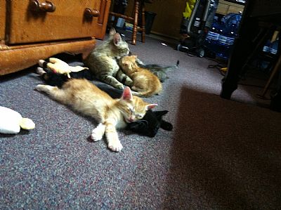 CharlesAbel profile photo