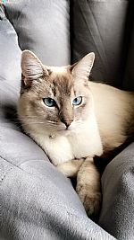 Christine_Atk profile photo