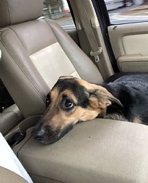 ShawnC2404 profile photo