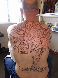 MURSE78 profile photo