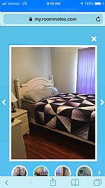 Carchino profile photo