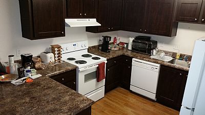 severos profile photo