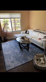 colleeno33435 profile photo