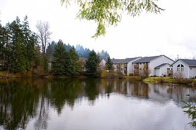 nomadianomad profile photo