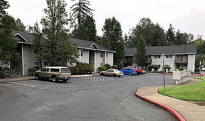 nomadianomad profile photo