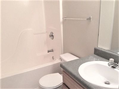 atotheking profile photo