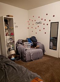 ShawnNicole profile photo