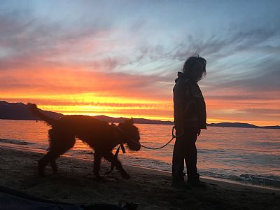 Mbcardwell profile photo