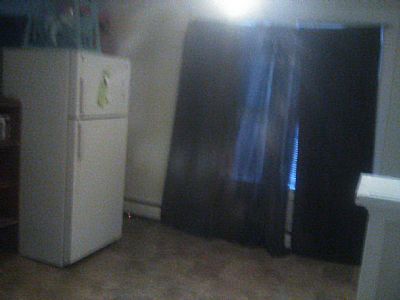 Pauly D profile photo