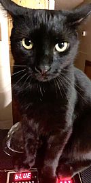 Kersting profile photo