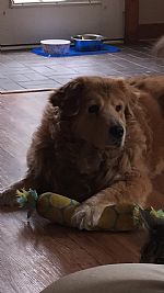 Kersting profile photo