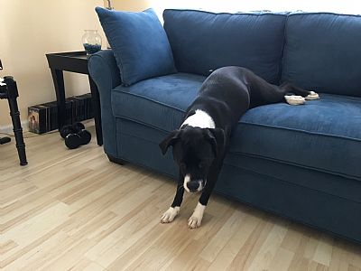 Psllvn8709 profile photo