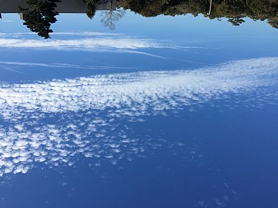 Psllvn8709 profile photo