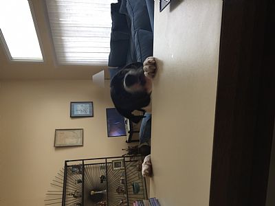 Psllvn8709 profile photo